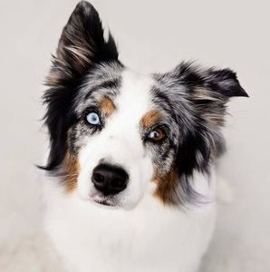 Meet your Posher, Jen